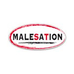 Malesation